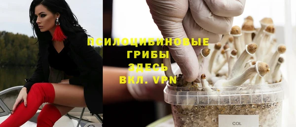 мескалин Белокуриха