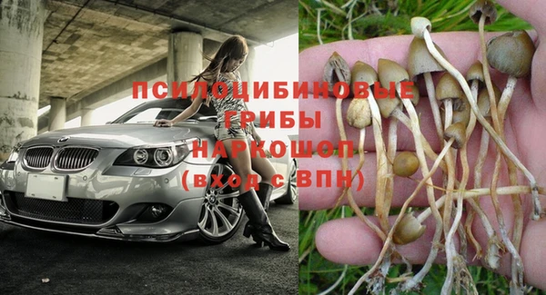 мескалин Белокуриха