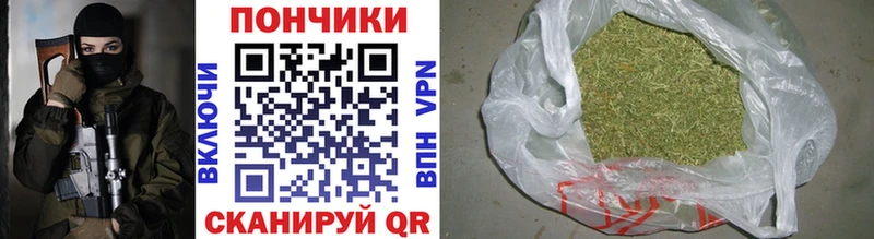 наркотики  kraken ТОР  Шишки марихуана OG Kush  Кушва 